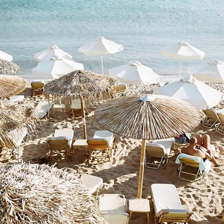 Bohemian garden (14)